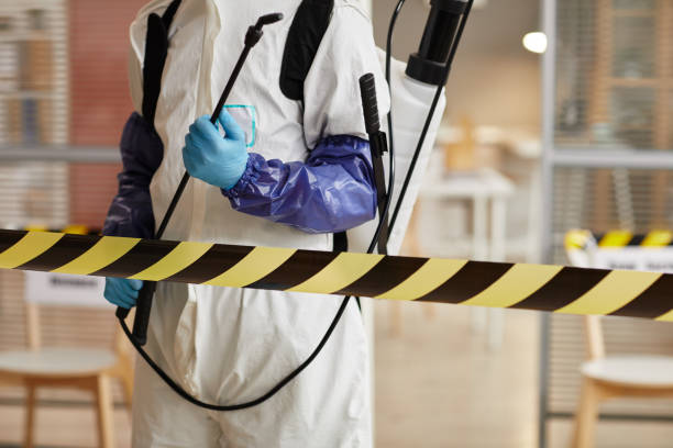 Professional Sewage Cleanup technician working in Grayson, KY